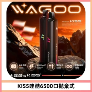 KIS5WAGOO哇酷6500口拋棄式 | 自由混搭雙口味 | 雙芯組合