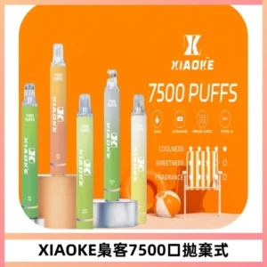 XIAOKE梟客7500Puffs跑馬燈拋棄式電子煙 可發光一次性