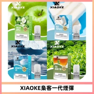 XIAOKE梟客一代煙彈 替換式霧化電子煙 通用 RELX 悅刻一代主機